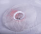 Wide Brim Sinamay Derby Hat: White Feathered Tea Party Wedding
