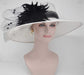 Sinamay Kentucky Derby Hat: Wide Brim Feathered Church Wedding Hat