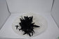 Ivory Sinamay Derby Hat: Black Feather Flower Wide Brim