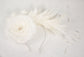 Wide Brim Kentucky Derby Fascinator  Hat, Ascot Hat for Wedding & Tea Party, Garden Party Hat, Mother of the Bride, Church- Ivory