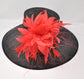 Sinamay Kentucky Derby Hat: Black Wide Brim with Red Flowers