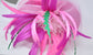 Hot Pink Crin Bow Feather Flower Wide Brim Kentucky Derby Hat,Ascot Hat for Wedding Tea Party, Garden Party Hat, Mother of the Bride, Church