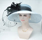 Powder Blue Sinamay Derby Hat: Black Feather Flowers & Netting