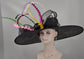 Black Feather Fascinator Hat: Royal Ascot, Kentucky Derby, Tea Party