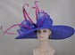 Royal Blue Derby Hat: Fuchsia Feather Ascot Hat