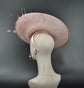 Blush Pink Fascinator Hat: Kentucky Derby, Tea Party, Ascot Races