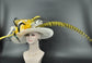 Wide Brim Sinamay Derby Hat: Yellow Flowers, Zebra Pheasant Feather