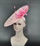 Blush Pink Fascinator Hat: Kentucky Derby, Tea Party, Ascot Races