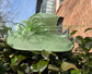 Spring Green Wide Brim Sinamay Derby Hat: Feather Flower Ascot Hat