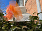Wide Brim Sinamay Derby Hat: Off White with Orange Silk Flower