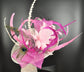 Sinamay Kentucky Derby Hat: White Wide Brim Feathered Tea Party Hat