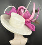 Sinamay Derby Hat: Wide Brim Feathered Church Hat