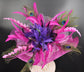 Wide Brim Sinamay Kentucky Derby Hat: Fuchsia Feather Flower