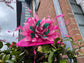 Hot Pink Sinamay Derby Hat: Wide Brim Feathered Church Hat