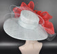 Wide Brim Sinamay Kentucky Derby Hat: Powder Blue, Red Feather Flower