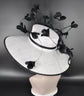 White Sinamay Kentucky Derby Hat: Black Feather Church Ascot Hat