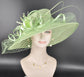 Spring Green Wide Brim Sinamay Derby Hat: Feather Flower Ascot Hat