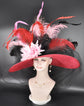 Wide Brim Sinamay Hat for Race Day – Red Pink Black Ostrich Feathers Couture Design