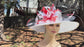 White w coral pink , a few light blue